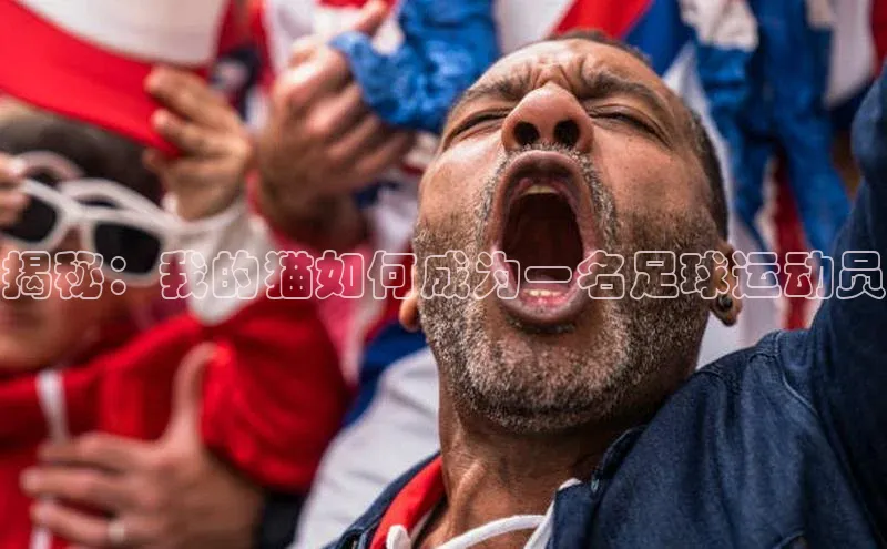 耀世游戏平台官网入口百度数据开放平台揭秘：我的猫如何成为一名足球运动员