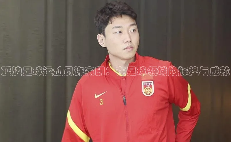 星耀娱乐下载地址链接天键股份延边足球运动员许家印：在足球领域的辉煌与成就