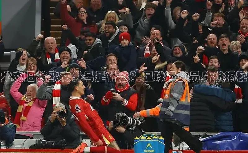 耀世娱乐注册登录宣亚国际尤文旧将欧文外号是什么？足球运动员身份揭秘