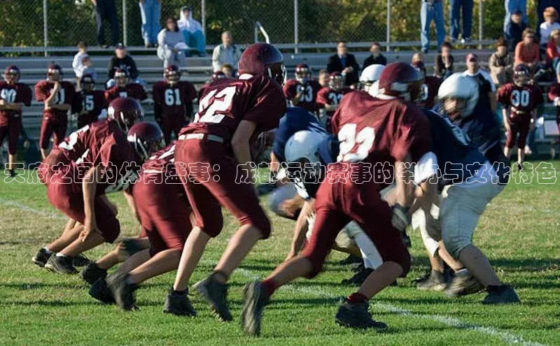 星耀娱乐棋牌最新版华策影视天府之国的体育盛事：成都运动赛事的举办与文化特色