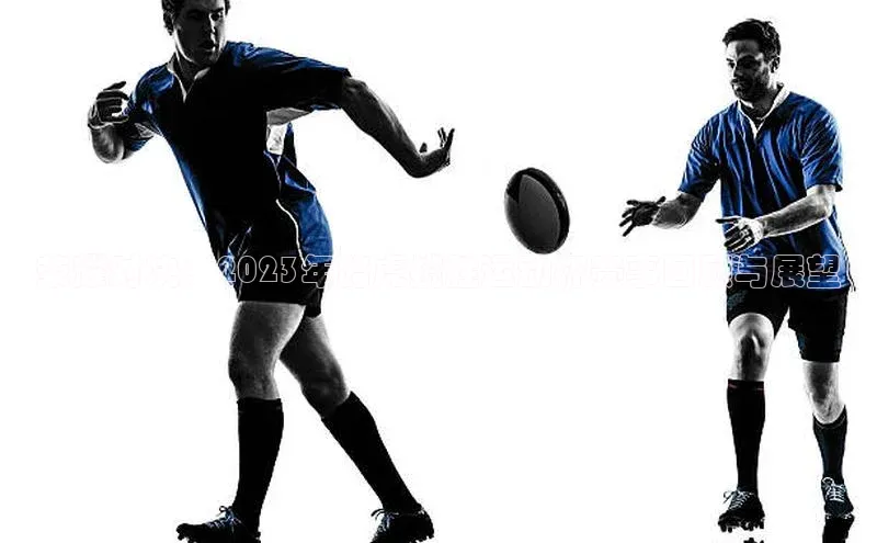 荣耀对决：2023年路虎揽胜运动杯赛事回顾与展望