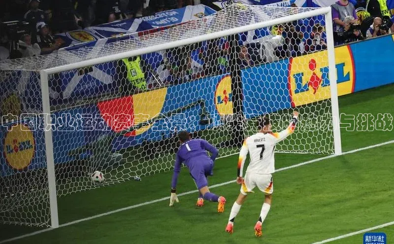 中国职业运动赛事全景：顶尖竞技的魅力与挑战