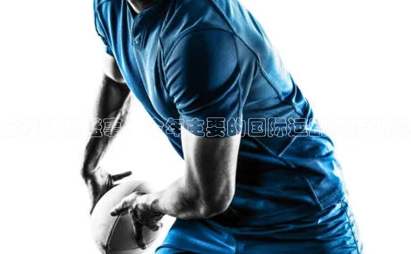 全球体育盛事：今年主要的国际运动赛事概览