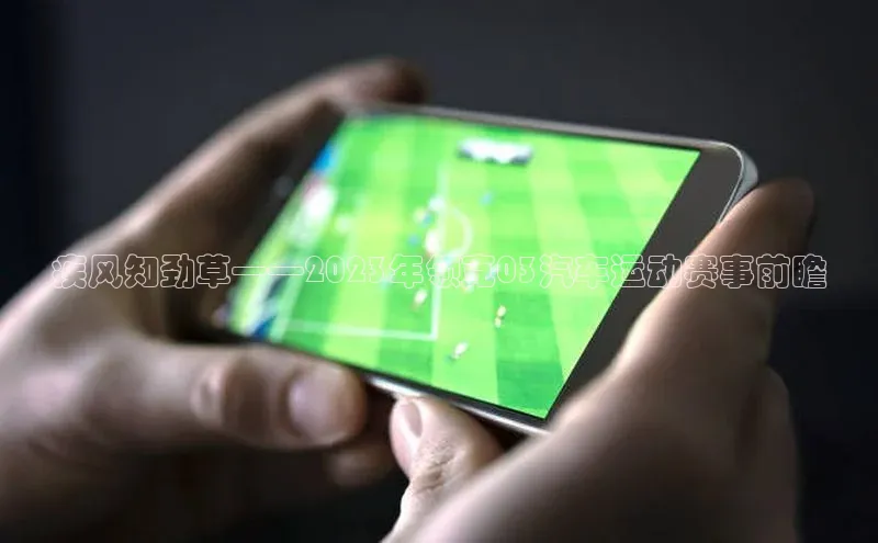 疾风知劲草——2023年领克03汽车运动赛事前瞻