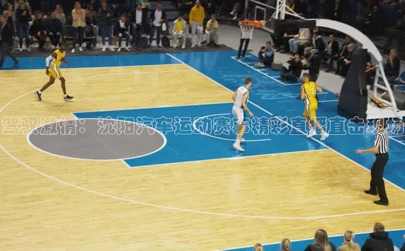 驾驭激情：沈阳汽车运动赛事精彩直播直击现场