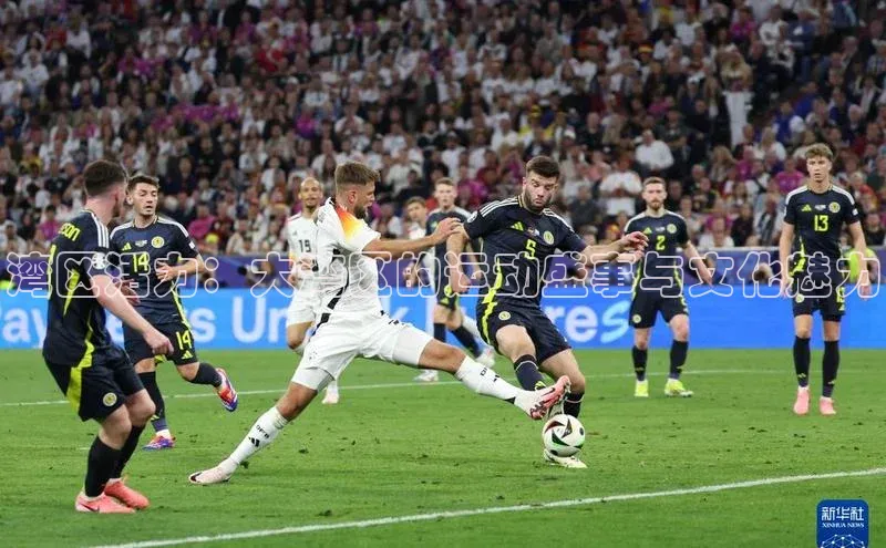 湾区活力：大湾区的运动盛事与文化魅力