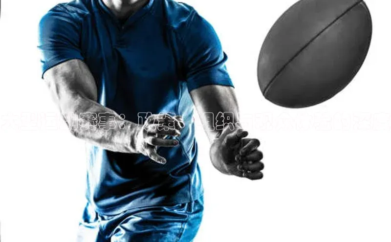 大型运动赛事：政策、组织与观众体验的深度