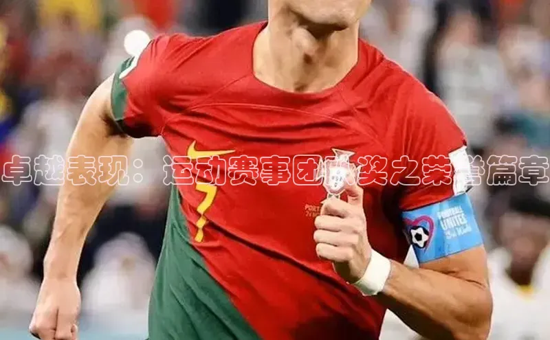 卓越表现：运动赛事团队奖之荣誉篇章