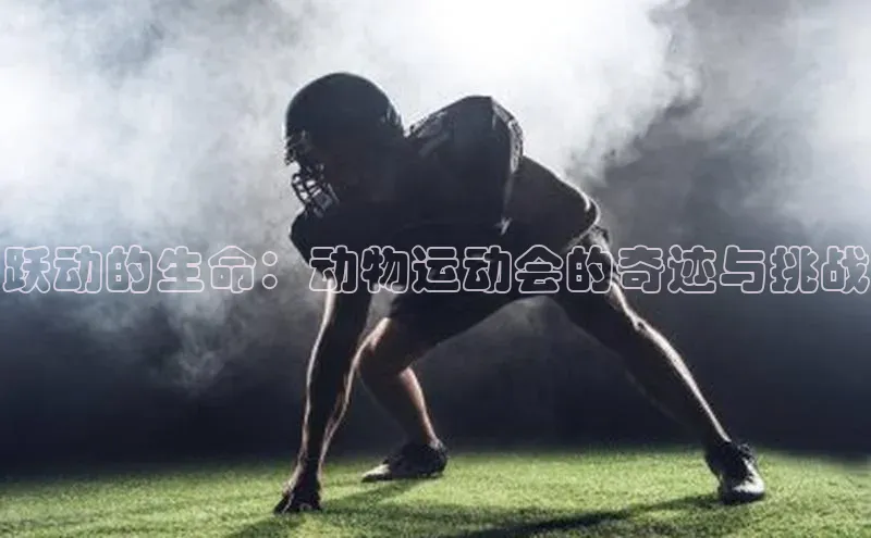 跃动的生命：动物运动会的奇迹与挑战