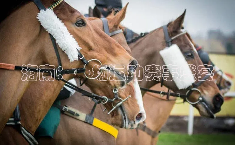 海南：一场运动赛事盛宴
