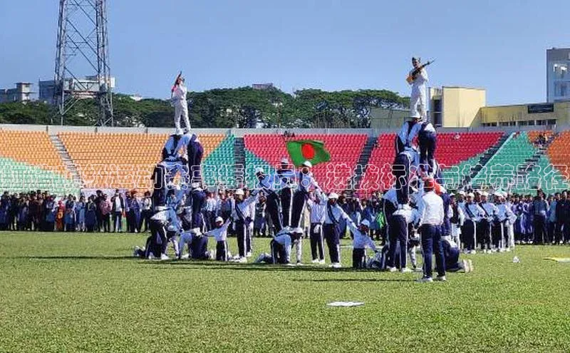 打造顶级运动赛事播报员：选拔标准与培养路径