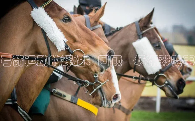 弓箭运动的辉煌：回顾一场精彩赛事
