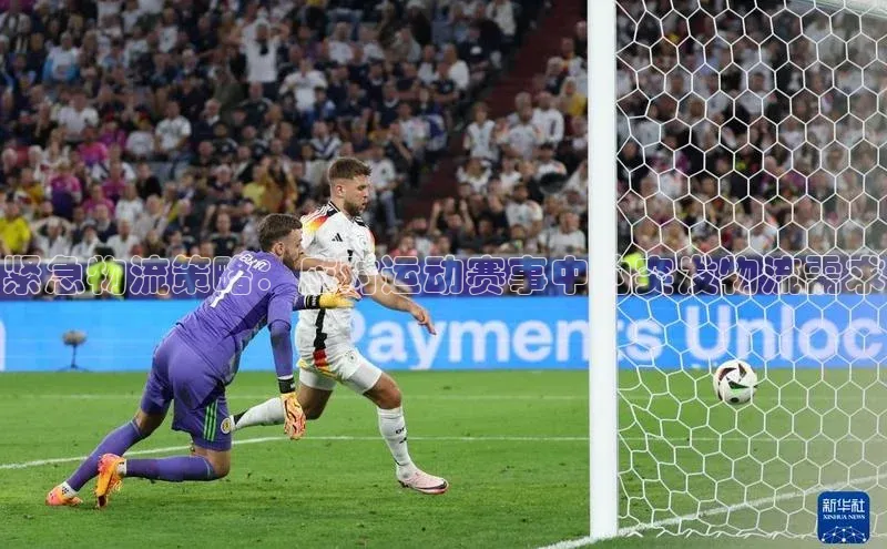 紧急物流策略：应对运动赛事中的突发物流需求