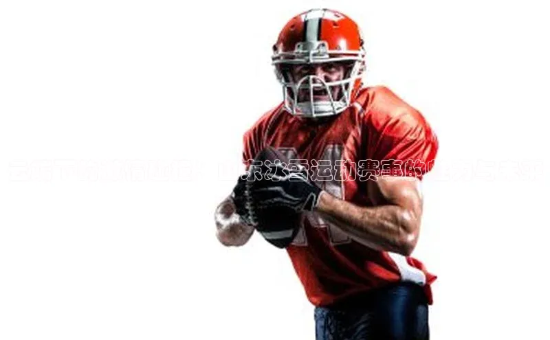 云端下的激情碰撞：山东冰雪运动赛事的魅力与未来