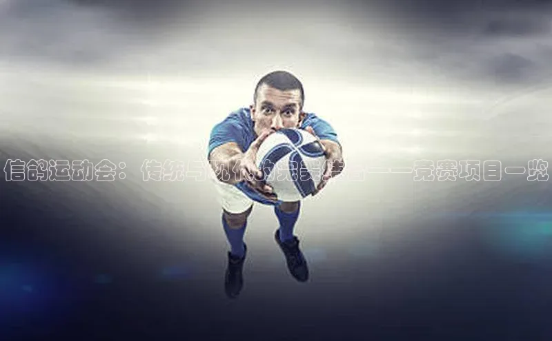 信鸽运动会：传统与现代的完美结合——竞赛项目一览