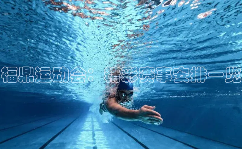 福鼎运动会：精彩赛事安排一览