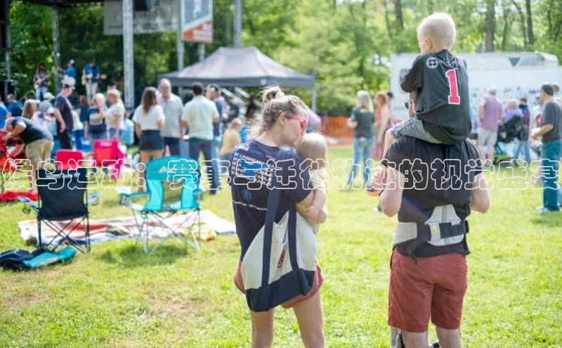 候鸟运动：赛事与迁徙轨迹的视觉盛宴