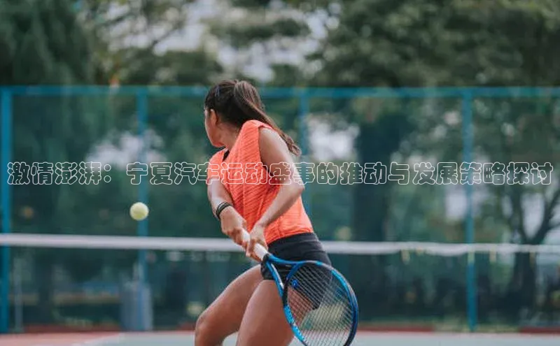 激情澎湃：宁夏汽车运动盛事的推动与发展策略探讨