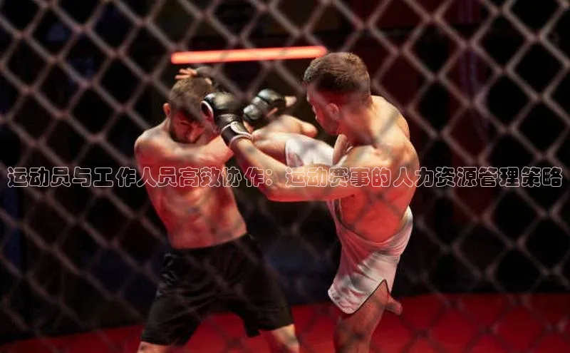 运动员与工作人员高效协作：运动赛事的人力资源管理策略