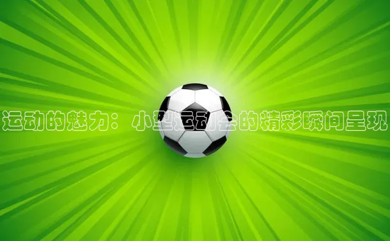 运动的魅力：小型运动会的精彩瞬间呈现