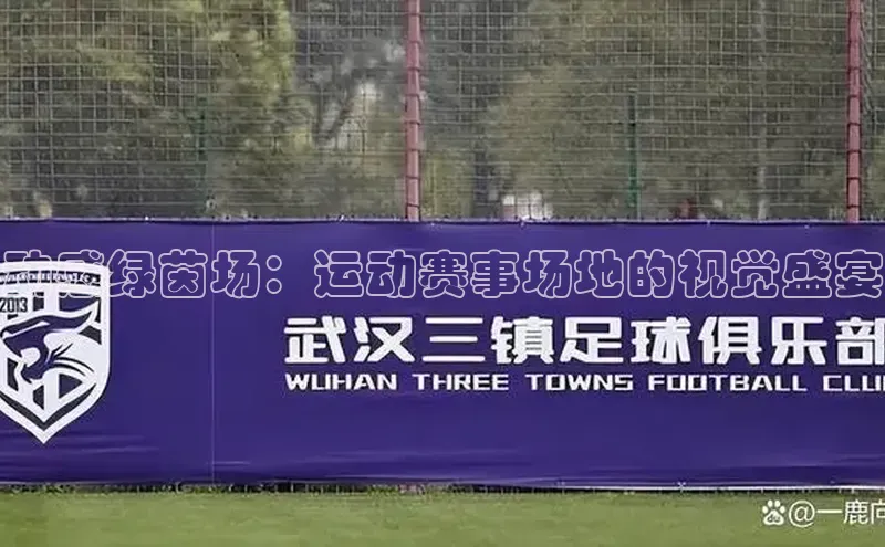 动感绿茵场：运动赛事场地的视觉盛宴